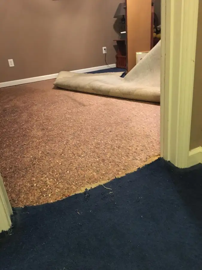 Carpet pad removal revealing water damage during Drying & Dehumidification in Harvard